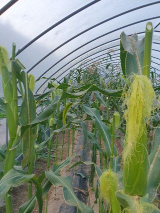 안비님의 자유주제 · 자유게시판 작성글 사진