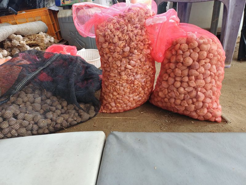 장터 상품 [주아(마늘쫑)판매(의성종)] 썸네일