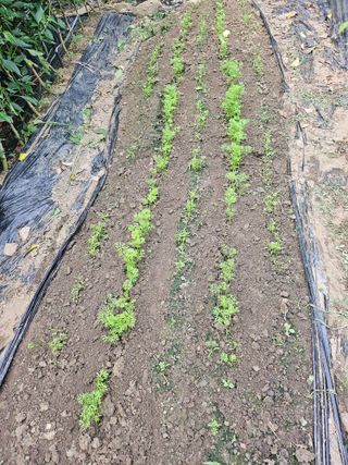 h.정님의 자유주제 · 자유게시판 작성글 사진