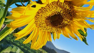 이정운님의 자유주제 · 자유게시판 작성글 사진