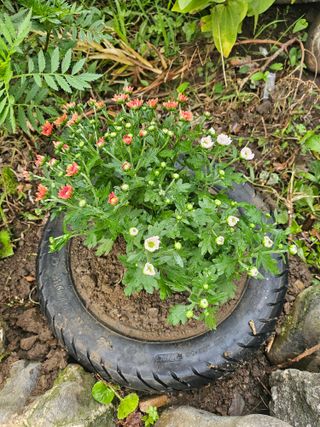 h.정님의 자유주제 · 자유게시판 작성글 사진