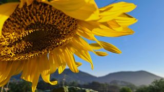 이정운님의 자유주제 · 자유게시판 작성글 사진