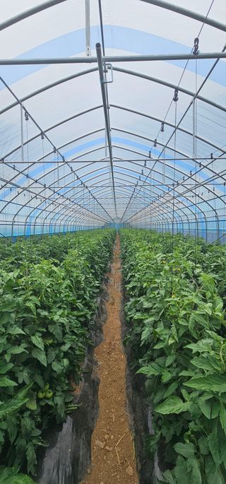 김동현님의 작성글 사진