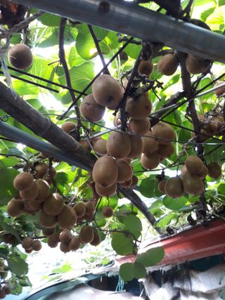 조동원님의 자유주제 · 자유게시판 작성글 사진