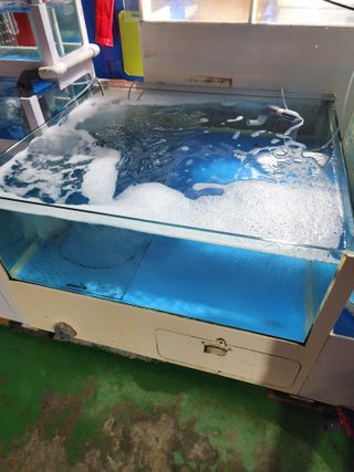 별빛나그네화성님의 자유주제 · 자유게시판 작성글 사진