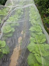 팜모닝 자유주제·자유게시판 게시글 이미지