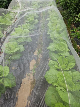 h.정님의 자유주제 · 자유게시판 작성글 사진