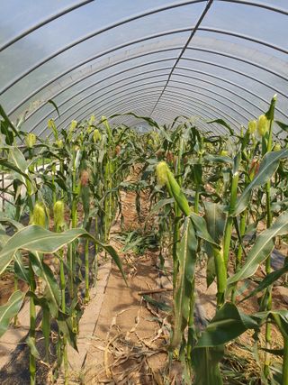 안비님의 자유주제 · 자유게시판 작성글 사진