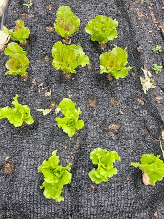 h.정님의 자유주제 · 자유게시판 작성글 사진