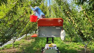 김준한님의 자유주제 · 자유게시판 작성글 사진