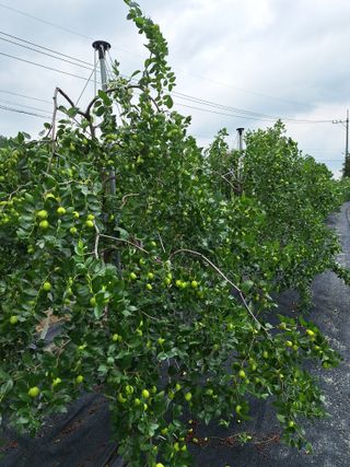 이문우님의 자유주제 · 자유게시판 작성글 사진