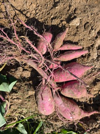 최병훈님의 자유주제 · 자유게시판 작성글 사진