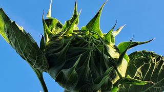 이정운님의 자유주제 · 자유게시판 작성글 사진