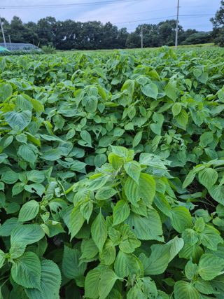 이정민님의 자유주제 · 사진전 작성글 사진