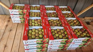 김준한님의 자유주제 · 자유게시판 작성글 사진