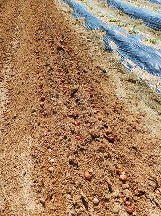 이철우님의 자유주제 · 자유게시판 작성글 사진