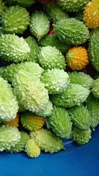 산성골농장님의 작성글 사진