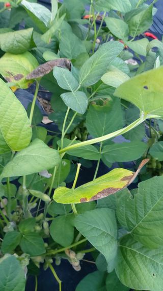 임곡농장김향중님의 자유주제 · 자유게시판 작성글 사진