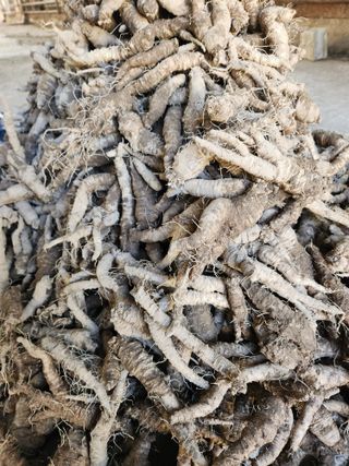 윤미선(농경채인증님의 작성글 사진