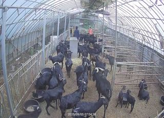 유광종님의 자유주제 · 자유게시판 작성글 사진