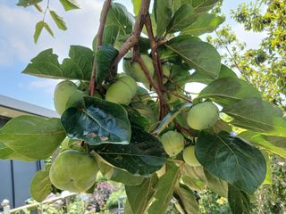 금동이네님의 자유주제 · 자유게시판 작성글 사진