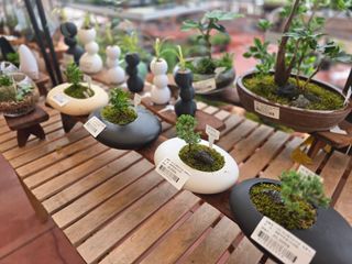 약초원 김종군님의 자유주제 · 자유게시판 작성글 사진