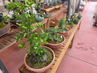 약초원 김종군님의 자유주제 · 자유게시판 작성글 사진