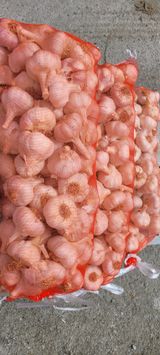 팜모닝 · 게시글 이미지