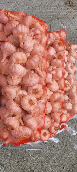 황금이님의 작성글 사진