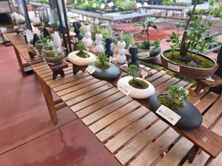 약초원 김종군님의 자유주제 · 자유게시판 작성글 사진