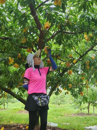 복숭아님의 자유주제 · 자유게시판 작성글 사진