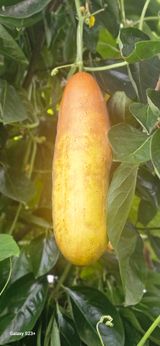 팜모닝 자유주제·자유게시판 게시글 이미지