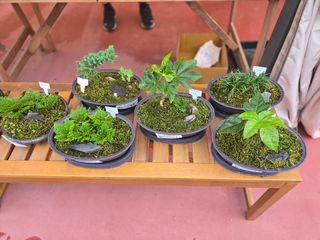 약초원 김종군님의 자유주제 · 자유게시판 작성글 사진