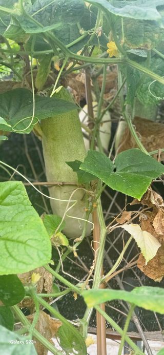 최갑수 님의 자유주제 · 자유게시판 작성글 사진