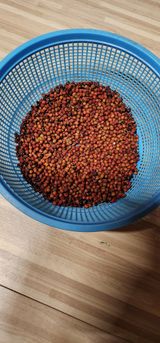 팜모닝 자유주제·자유게시판 게시글 이미지