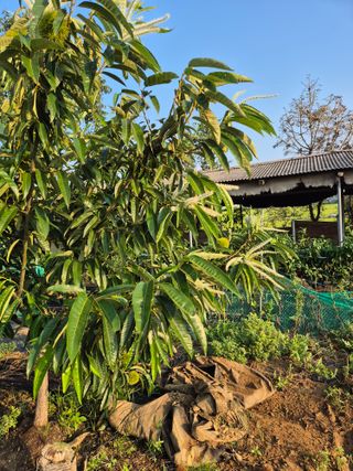 윤해벽님의 자유주제 · 자유게시판 작성글 사진