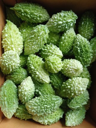 산성골농장님의 작성글 사진