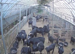 유광종님의 자유주제 · 자유게시판 작성글 사진