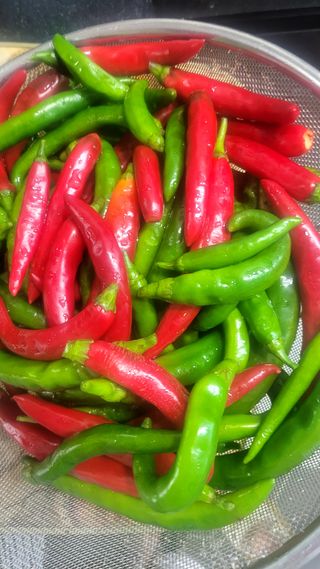 행복농장아다나님의 자유주제 · 자유게시판 작성글 사진