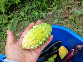 산성골농장님의 작성글 사진