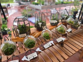 약초원 김종군님의 자유주제 · 자유게시판 작성글 사진