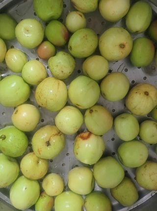 행복농장아다나님의 자유주제 · 자유게시판 작성글 사진