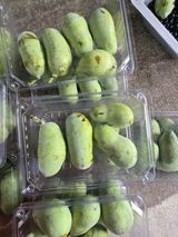 팜모닝 자유주제·자유게시판 게시글 이미지