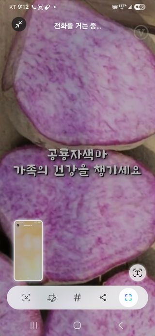 김선순(공룡자색마)님의 작성글 사진