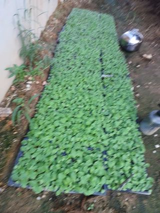 이정민님의 자유주제 · 사진전 작성글 사진