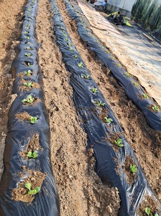 전희분님의 자유주제 · 자유게시판 작성글 사진