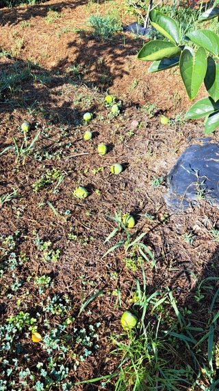 주윤발이님의 자유주제 · 자유게시판 작성글 사진