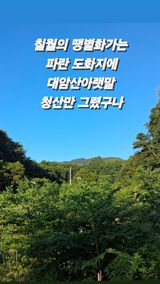 팜모닝 자유주제·자유게시판 게시글 이미지