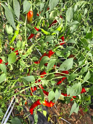 이정민님의 자유주제 · 사진전 작성글 사진