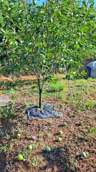 주윤발이님의 자유주제 · 자유게시판 작성글 사진
